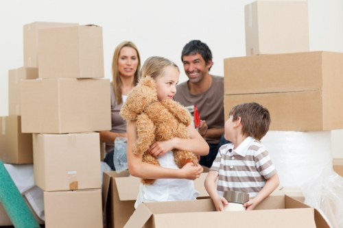 Recycling and reuse items separated for eco-friendly removals in Sydenham