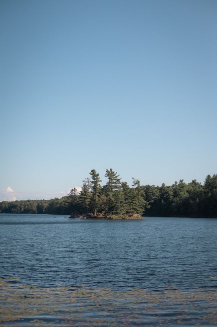 A tranquil lake scene with calm, dark blue water in the foreground and a small, densely wooded island with tall pine trees in the center. The sky above is clear and pale blue with no clouds, creating a bright and peaceful atmosphere. The lake is surrounded by a lush forested shoreline extending into the distance, suggesting a natural environment suitable for outdoor activities or scenic house removals involving transportation of boats or outdoor equipment to or from the water. No furniture, boxes, vehicles, or moving equipment are visible in this image, indicating an outdoor landscape possibly associated with relocation scenes or picturesque scenery captured during a home relocation process by Man With a Van Sydenham.