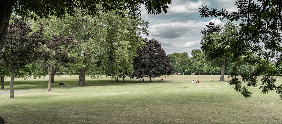 The image shows a large, open park area with a well-maintained grassy lawn and several mature trees with green and dark purple foliage, providing shade and greenery. In the background, there are a few people seated on benches and on the grass, suggesting a peaceful environment for relaxation. The sky is partly cloudy, with some darker clouds indicating potential rain, and natural light illuminates the scene evenly. The setting appears to be outdoors, with no visible buildings or structures nearby. This scene illustrates a suitable outdoor location for home relocation planning or packing assistance provided by Man With a Van Sydenham, as part of their removals and furniture transport services linked to relocating near Horniman Museum, highlighting the importance of accessible outdoor spaces during the moving process.